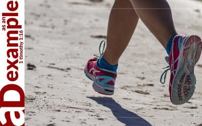 Holy hatred: Feet that make haste to run to evil