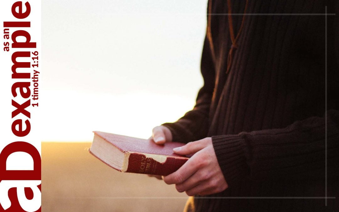 Holy hatred: A false witness who breathes out lies