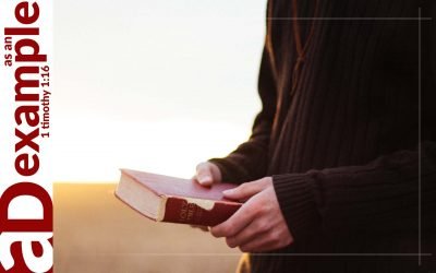 Holy hatred: A false witness who breathes out lies