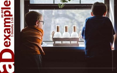 Holy hatred: One who sows discord among brothers