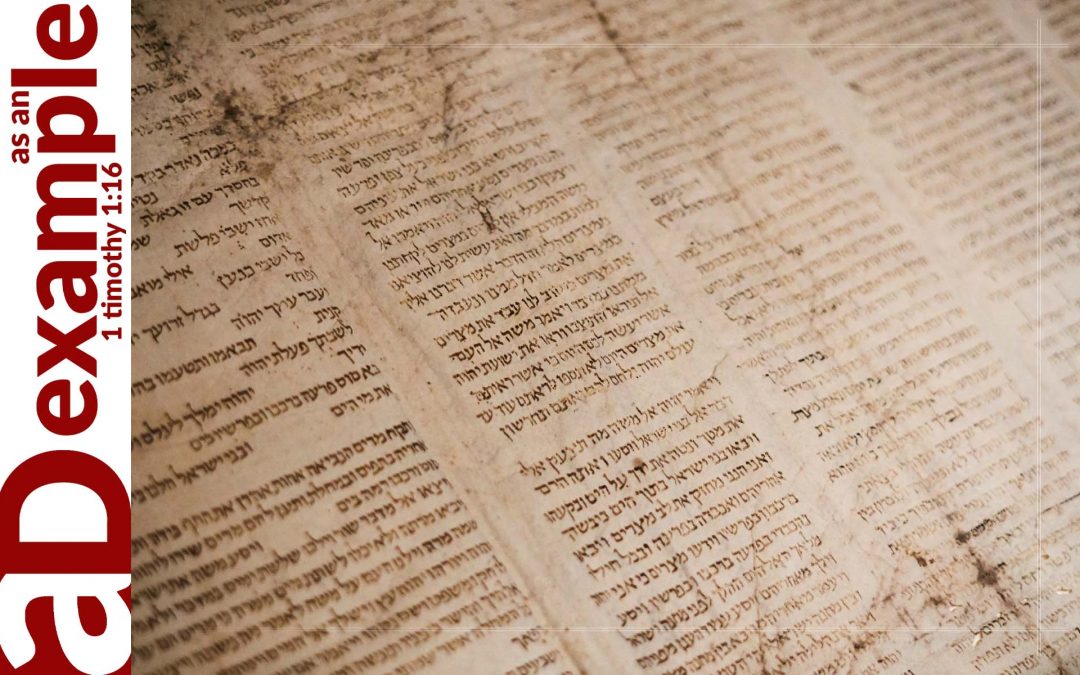 Reformation 500: Appealing to authority