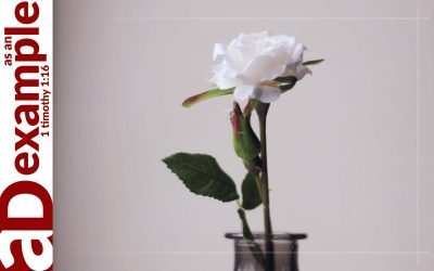 Getting to the h(e)art of forgiveness