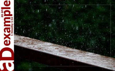 A confessing community: The providential God