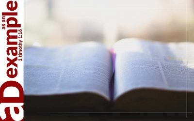 A confessing community: The revealed God