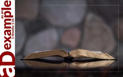 A confessing community: The Scriptures revealed