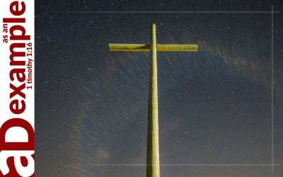 A confessing community: Salvation provided