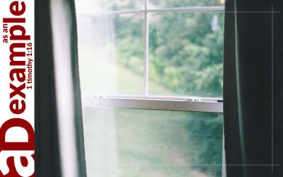 A confessing community: Salvation revealed