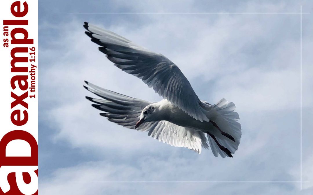 A Confessing Community: The Holy Spirit’s Work