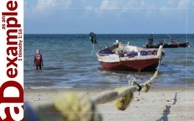 All the King’s men: Introduction