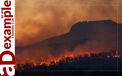 Bushfires and the Bible