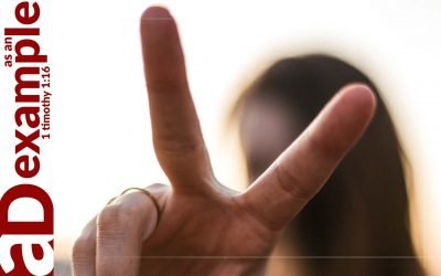 Principles for peacemakers