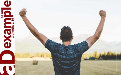 Gossip: Strategies for victory