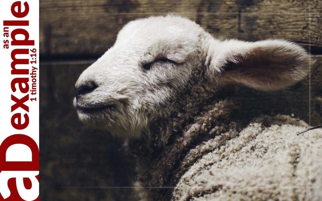 The seven sayings: Atonement