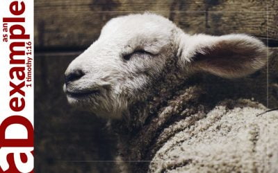 The seven sayings: Atonement