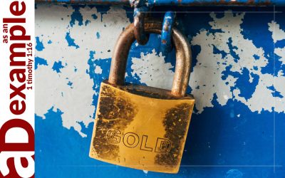 The seven sayings: Security