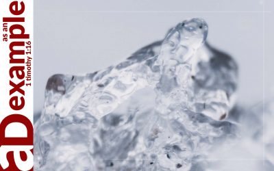 The seven sayings: Suffering