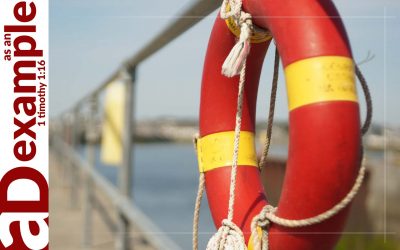 The seven sayings: Salvation