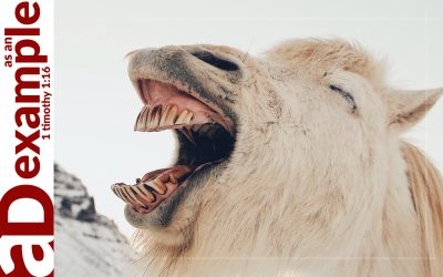 Divine Laughter (Psalm 2)