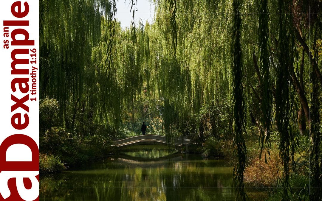 The Pursuit of Happiness (Psalm 1)