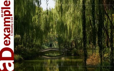 The Pursuit of Happiness (Psalm 1)