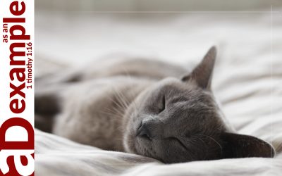 Sleep Well (Psalm 4)