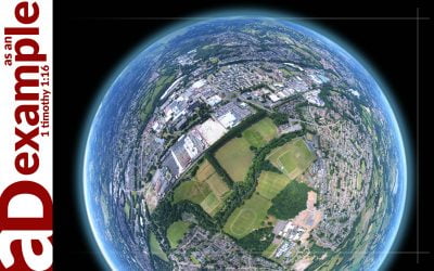 Immanently Transcendent (Psalm 11)