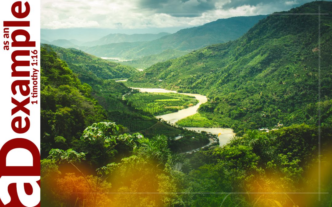 The Silent Witness (Psalm 19)