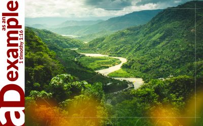 The Silent Witness (Psalm 19)