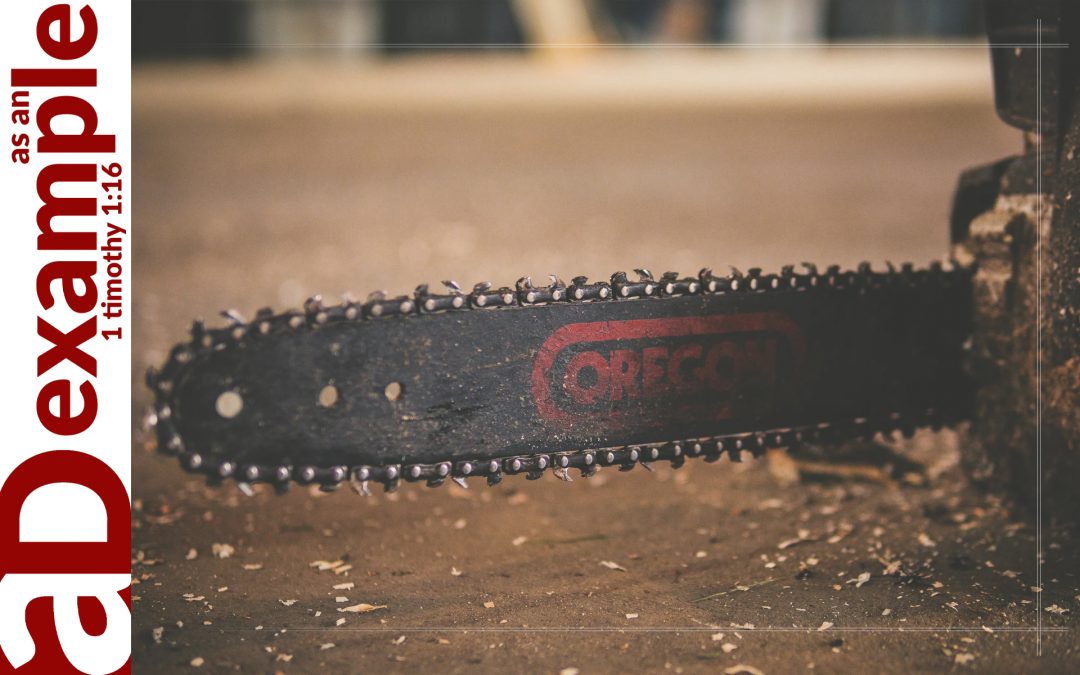 We Have the Power (Psalm 20)