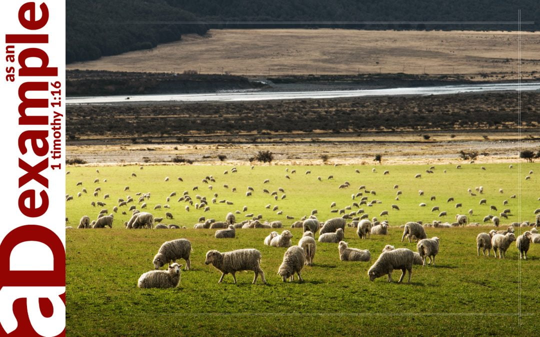 Life Without Lack (Psalm 23)