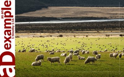 Life Without Lack (Psalm 23)