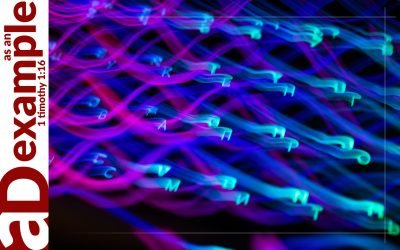 Input-based Religion (Psalm 25)