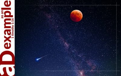 Significantly Insignificant (Psalm 8)