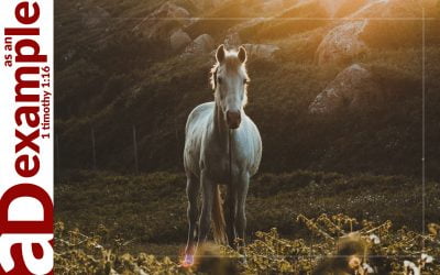 True Hope (Psalm 33)