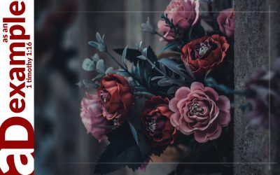 Rest in Peace—On Both Sides (Psalm 31)