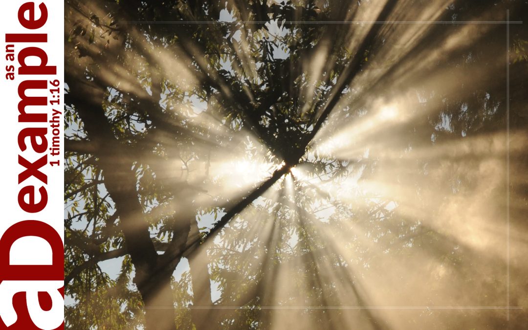 Finding Light (Psalm 36)