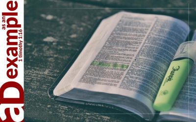 Highlighter Christianity (Psalm 41)