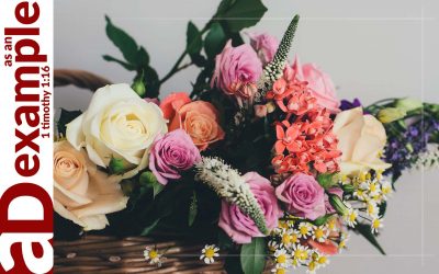 Wedding Prep (Psalm 45)