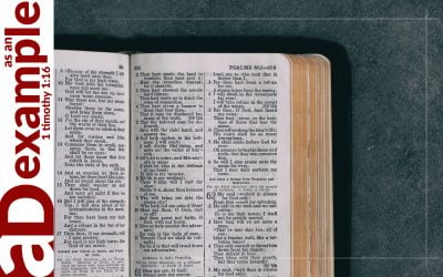 For You, Not to You (Psalm 66)