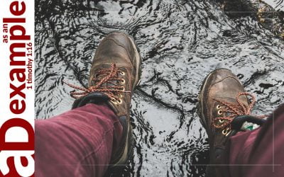 God Unchanging (Psalm 102)