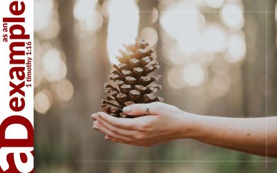 Embracing Forgiveness (Psalm 103)