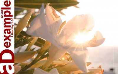 Recalling Faithfulness (Psalm 105)