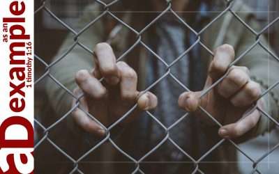 Pondering Love (Psalm 107)