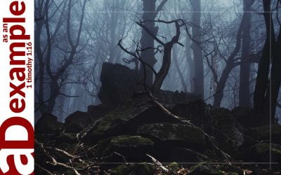 Hating Evil (Psalm 97)