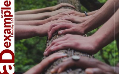 Community Witness (Psalm 98)