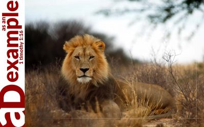 On Our Side (Psalm 124)