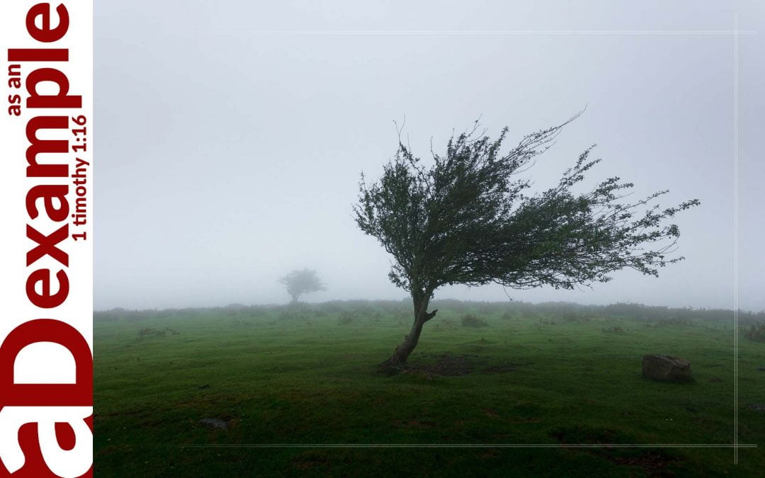 Headwinds (Psalm 129)