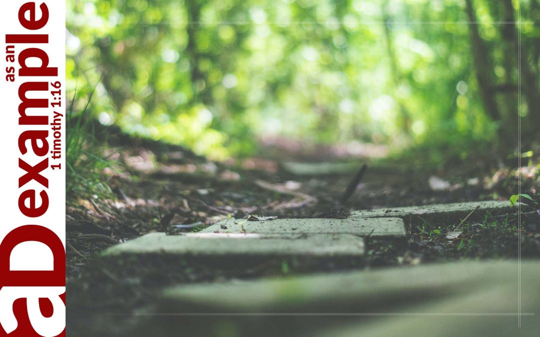 Steppingstones to Trust (Psalm 131)