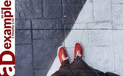 Are We Not Divided? (Psalm 133)