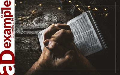 The Prayer Book (Psalm 135)